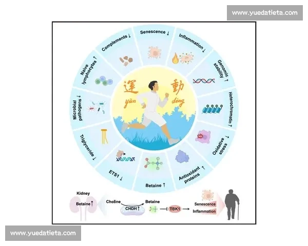 体育科学体系视角下运动表现优化与健康促进研究探索